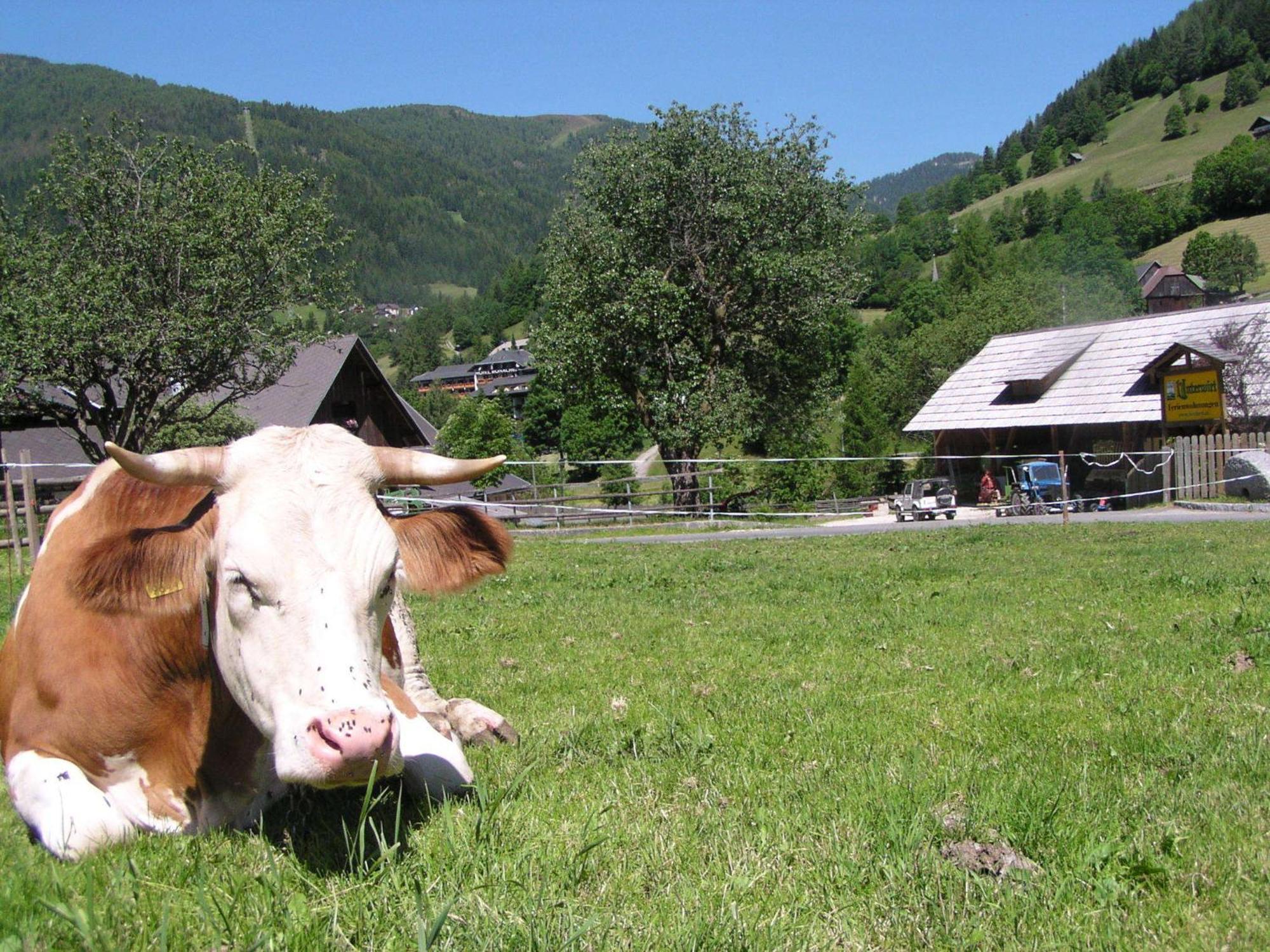 Unterwirt Appartement Bad Kleinkirchheim Buitenkant foto